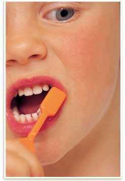 Learn the basics of dental health!